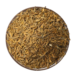 蒲公英种子野生蒲公英种籽新鲜中药材食用婆婆丁籽四季盆栽蔬菜