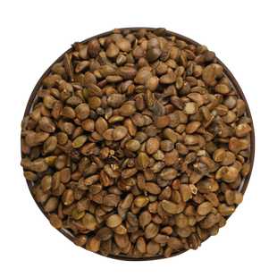 中药材丹参种子非野生红皮丹参籽山东四季种植苗另有黄芪当归