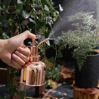 Retro Watering Can Stainless Steel Plant Watering Pot Mini V