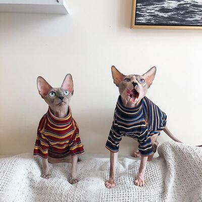 Cat Clothes for Sphinx Hairless Cat Clothes Striped Clothing