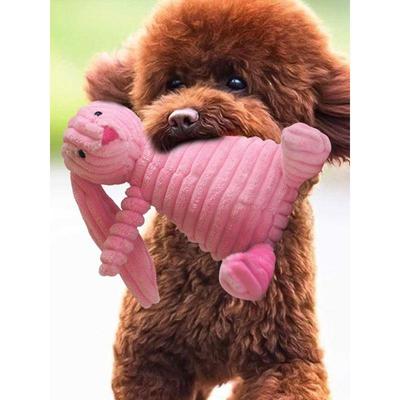 Toys for Dogs Squeaky Puppy Play Chew Interactive Dog Toy