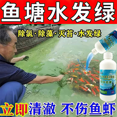 鱼塘净水剂一滴清澈池塘变清神器