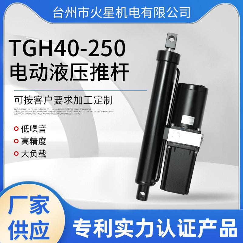 TGH40-250直流电动液压工作站自卸动力单元船外机起翘器微型现货