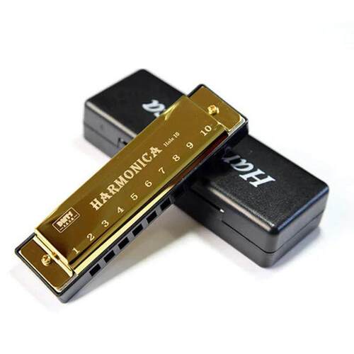 Harmonica Key of C 10 Hole Diatonic Harmonica C with Case fo