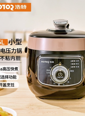 浩特机械式2.5L迷你电压力锅全自