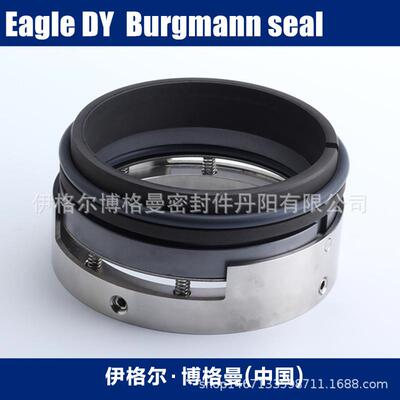 EagleBurgmann博格曼机械密封M74N/110-G6泵用中型机械密封