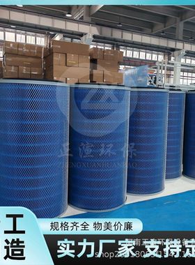 煤粉输送除尘滤筒 P190818 蓝色阻燃 排放浓度＜5mg/m3  99.9%