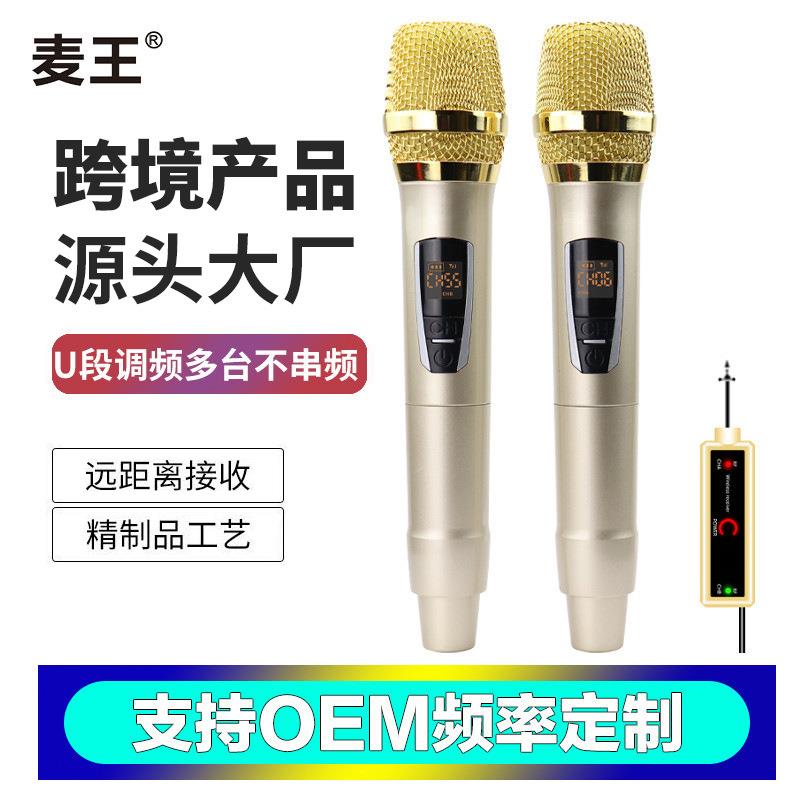 手持无线多用麦克风家庭户外演出便携式话筒一拖二U段拉杆音箱