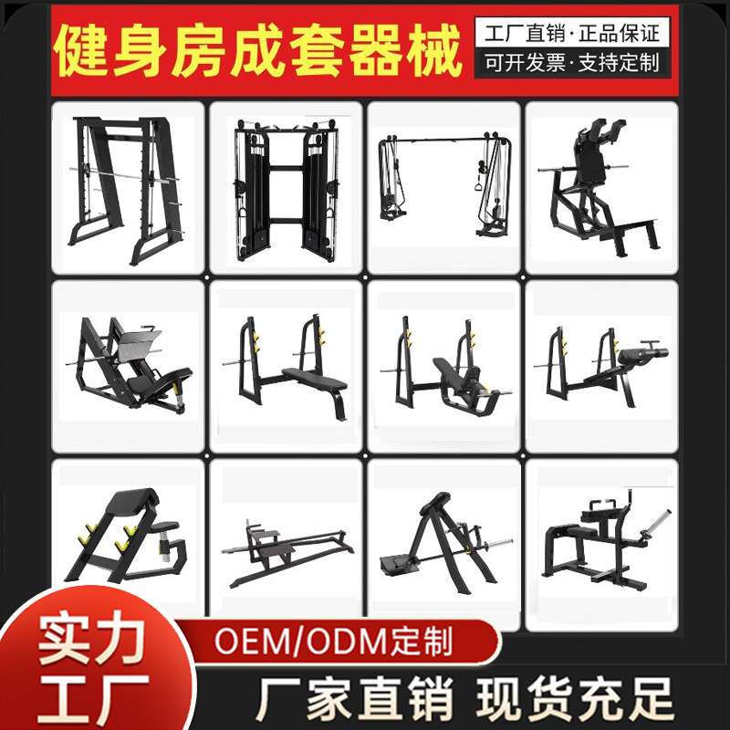 必确系列健身器材高低拉背器械健身房商用专业力量训练器材