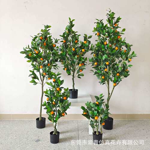常青桔子树商场店铺软装装饰盆栽造景设计仿真加密款橘子树