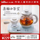小熊煮茶器0.8L小容量全自动蒸汽喷淋式 泡茶一键55度保温带分茶杯