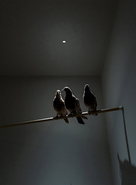 意大利进口正版 Davide Groppi 射灯筒灯 Nulla 嵌入式吸顶灯极简