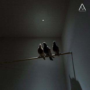 意大利进口正版 Davide Groppi 射灯筒灯 Nulla 嵌入式吸顶灯极简