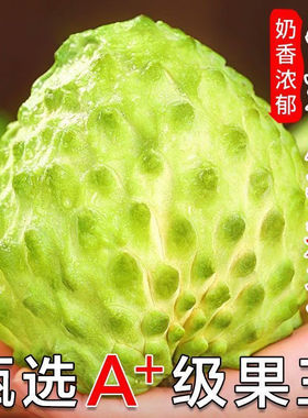 潮汕新鲜凤梨释迦果牛奶番荔枝水果大目释迦果林檎