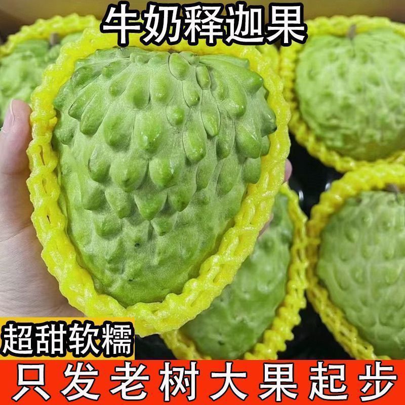 (当季)凤梨牛奶释迦潮汕特大佛头番荔枝整箱孕妇新鲜水果林檎