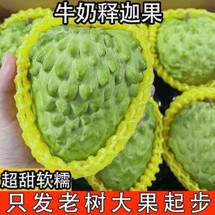 （当季）凤梨牛奶释迦潮汕特大佛头番荔枝整箱孕妇新鲜水果林檎