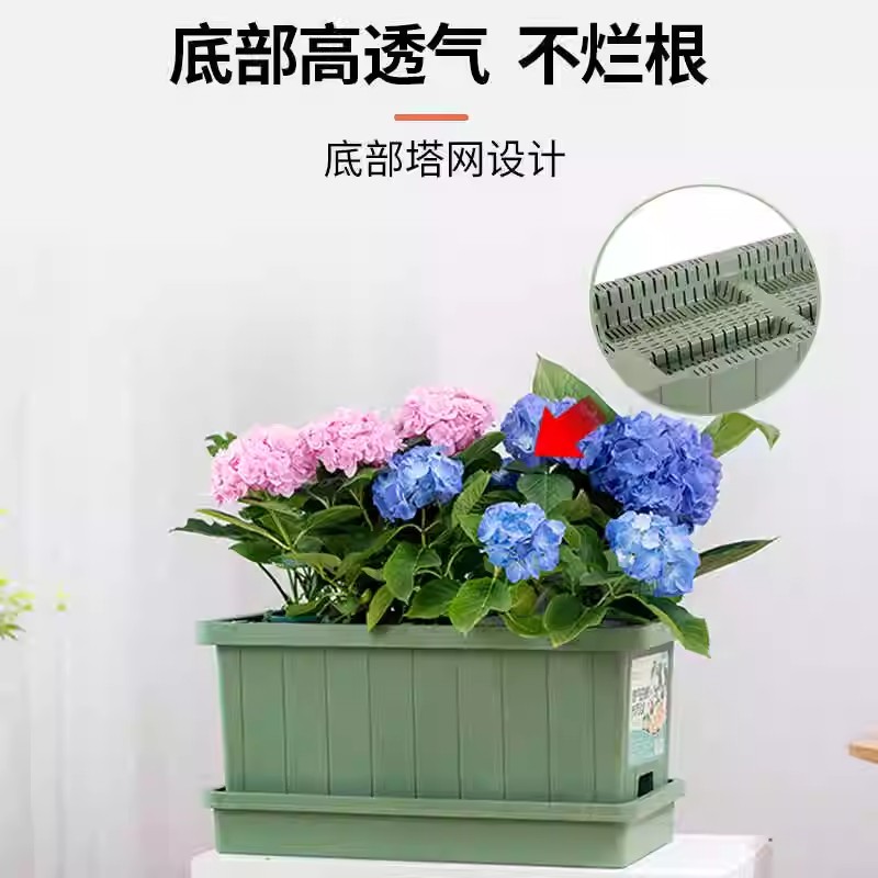花博士种菜盆带底托不烂根透气好