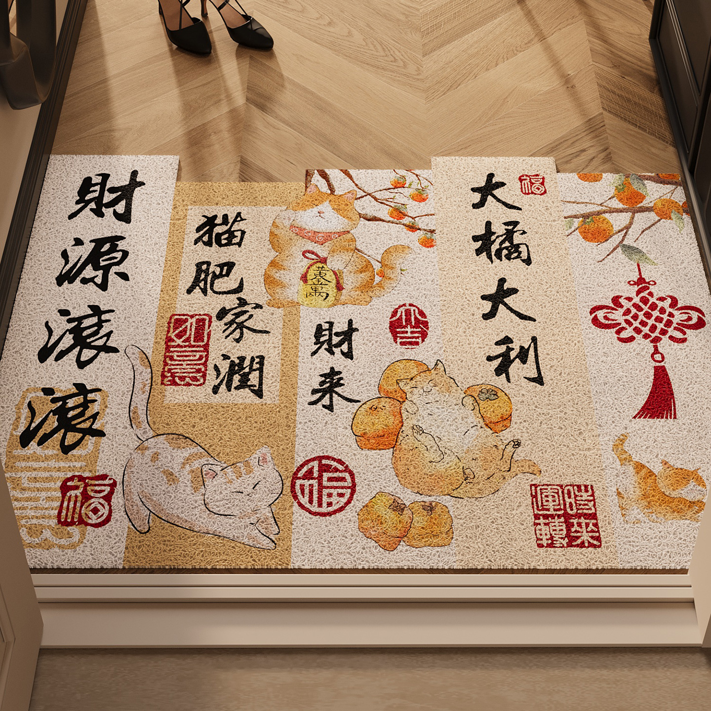 入户门地垫玄关大门口丝圈耐脏