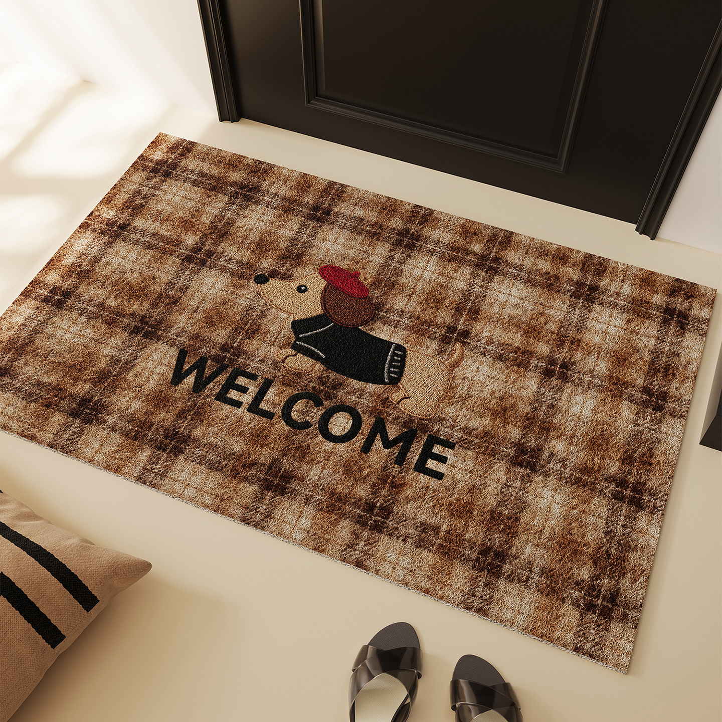 入户玄关丝圈防滑免洗门垫