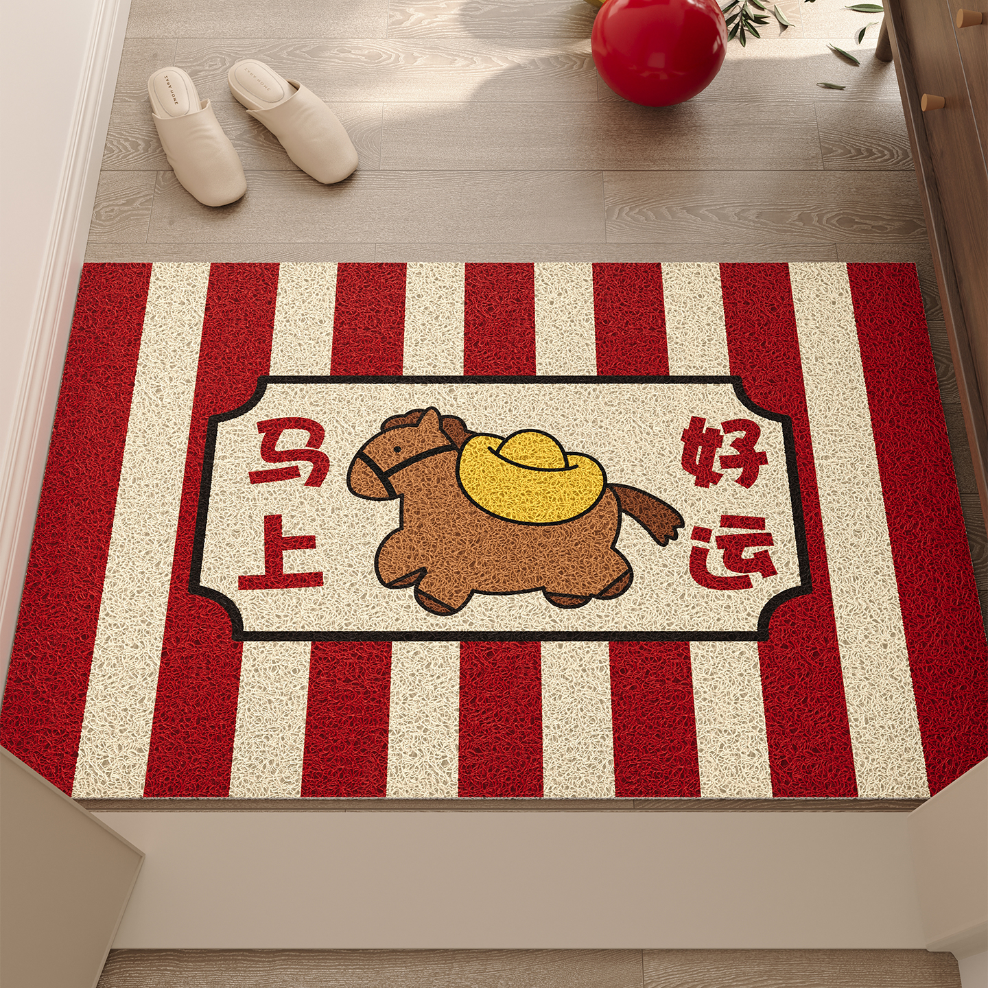 入户玄关丝圈防滑耐脏免洗门垫