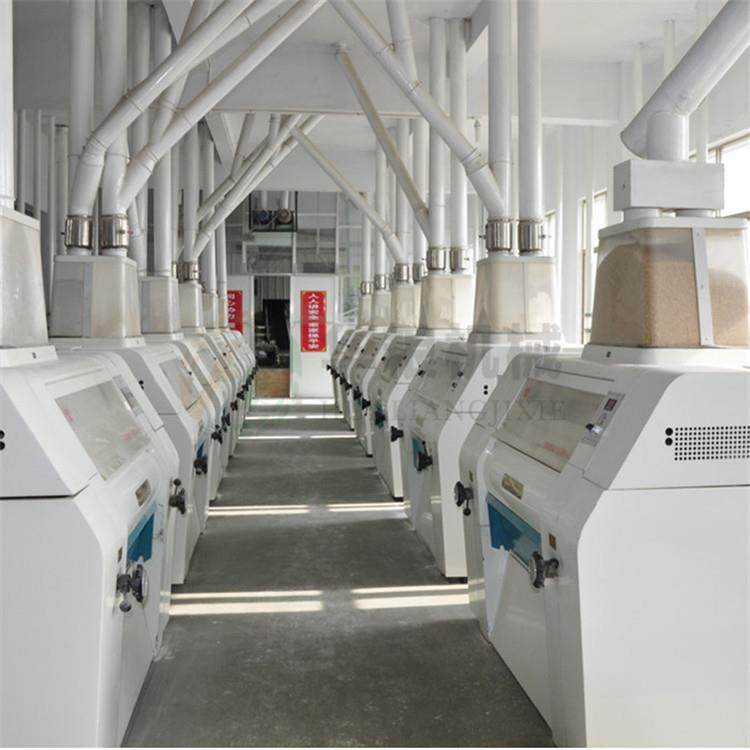 大中型面粉成套设备厂家漯河供应小麦制粉设备 成套面粉机组