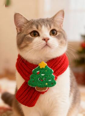 【圣诞限定】网红宠物冬季用品围巾保暖围脖猫咪狗拍照氛围感饰品