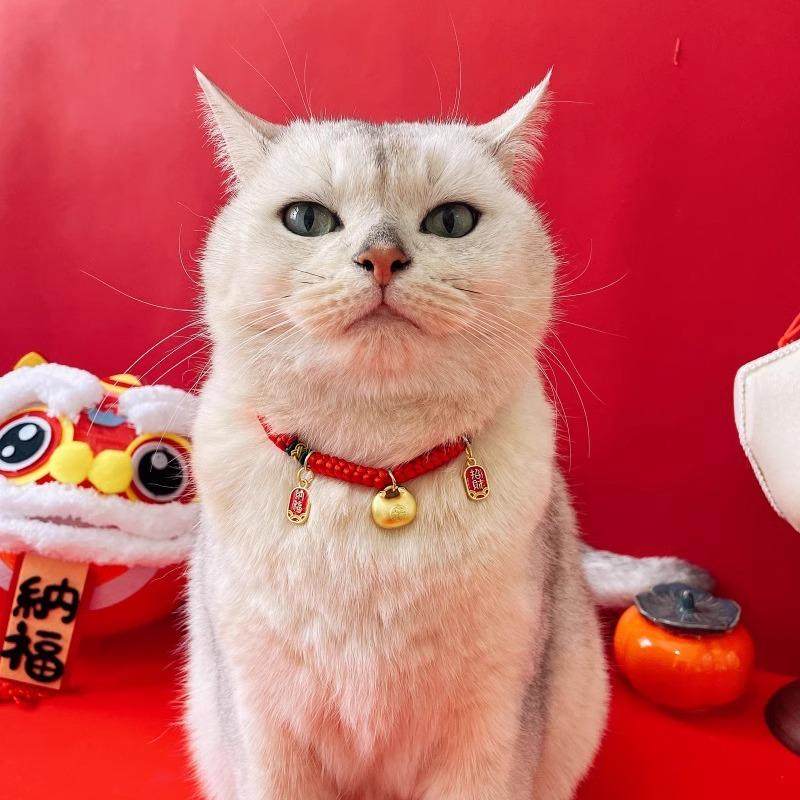 猫咪项圈新年平安祈福古法小胖福红绳狗狗脖子挂牌手工编织长命锁,宠物/宠物食品及用品,项圈/肩带,淘宝优惠券,粉丝福利购,淘宝优惠卷