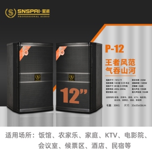 SNSPAI笙派 真三分频家庭ktv音响出音箱专业大功率舞台音响酒吧演