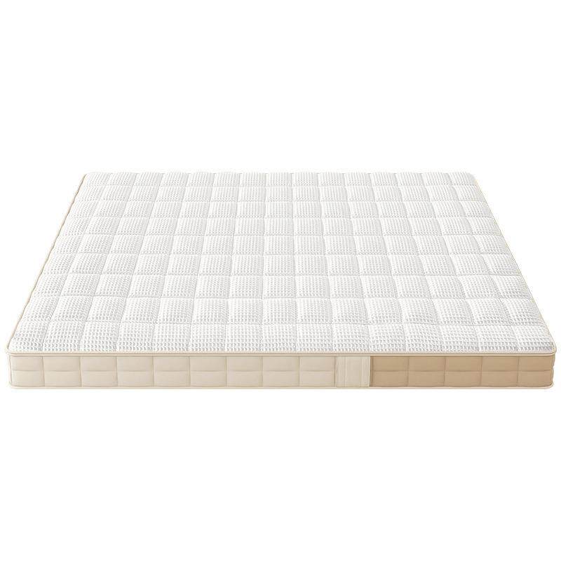 全拆可视床垫薄弹簧床垫10cm15公分12乳胶记忆棉家用高箱床席梦思