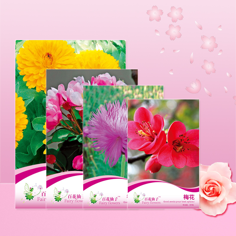 农点赞四季阳台种植花卉种子图片