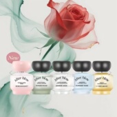 fog棉雾浪漫玫瑰柑橘月正品 after blow香水韩国cotton 小样