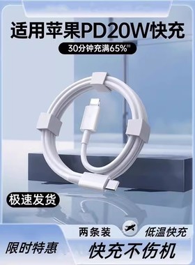 【顿娱】适用苹果充电器线iphone14数据线PD20W快充ipad平板12plus车载充电线13promax手机闪充typec转
