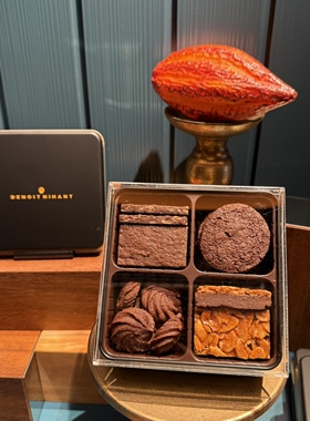 日本直邮满200包邮 BENOIT NIHANT 比利时可可职人 巧克力
