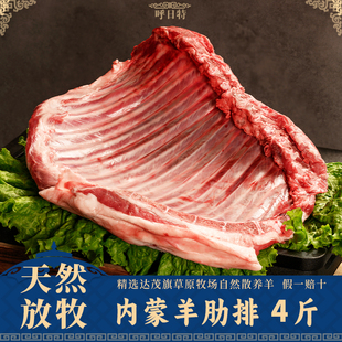 羊肉新鲜内蒙草原散养原切羊排寸排羊蝎子排骨火锅红烧礼盒不膻