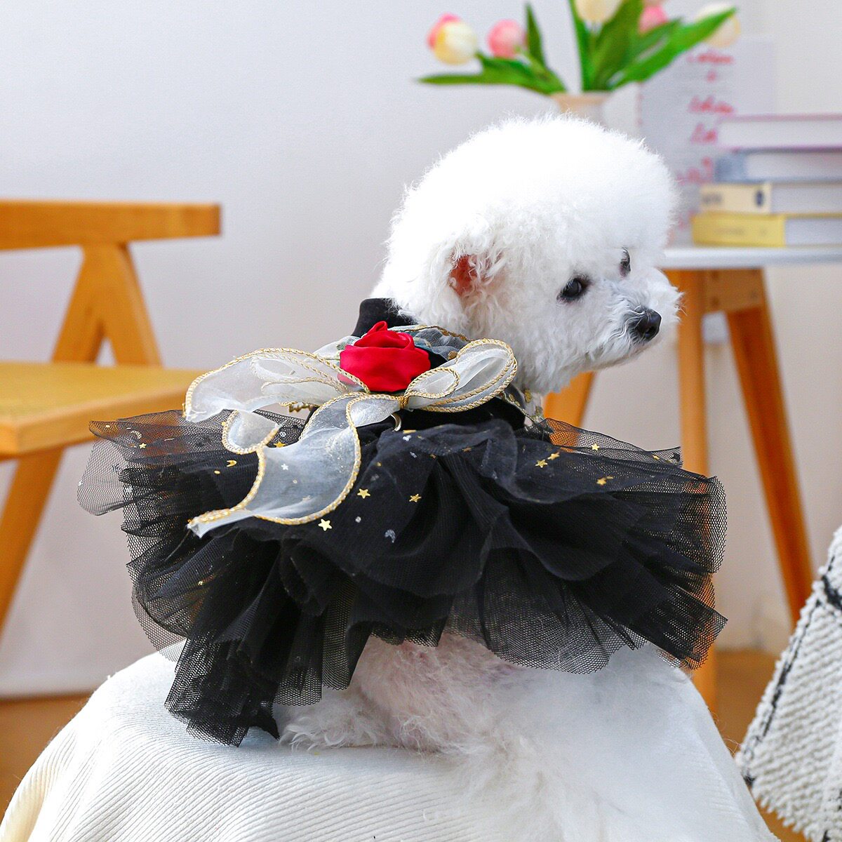 狗狗衣服春秋款猫咪公主裙丝绒玫瑰婚纱礼服陪嫁小型犬宠物比熊
