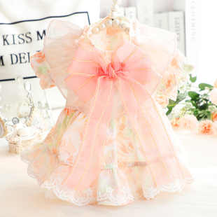 狗狗衣服春夏装薄款猫咪公主仲夏花裙甜美碎花小型犬泰迪宠物比熊