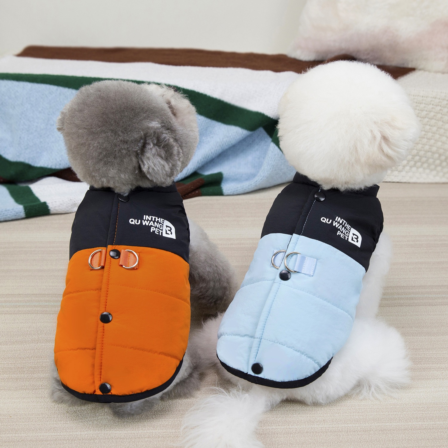 狗狗衣服秋冬装厚款加绒背开扣马甲猫咪可牵引棉衣小型犬泰迪宠物