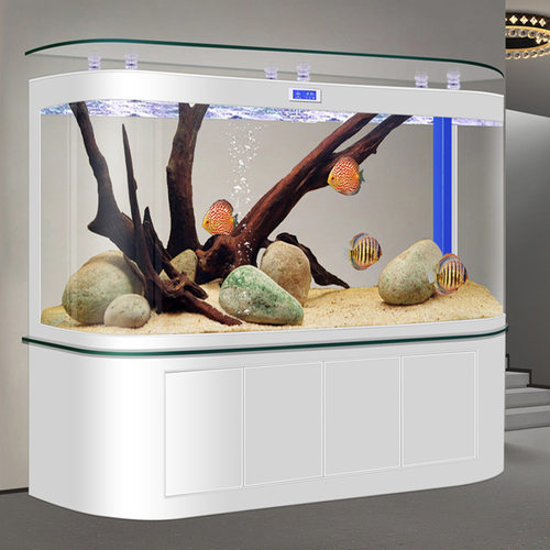 2026新款超大型底滤鱼缸客厅家用生态免换水龙鱼缸过滤制氧一体机