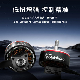 DolphinRC 2808 1300KV 负载马达 2.5kg 6S 7英寸 无刷电机 FPV