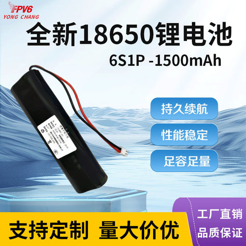 厂家定制6S1P18650锂电