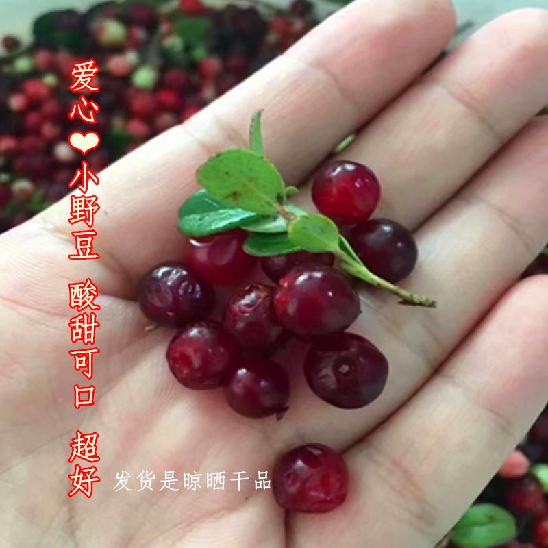 自晒制然蔓越莓干红豆克干内蒙野性十足好超HZN吃酸甜天口500包邮