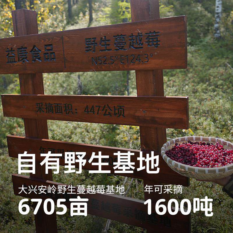 哈DAN尔河大兴安岭野生蔓越莓果干 干越橘烘培母婴零食小塔包装非