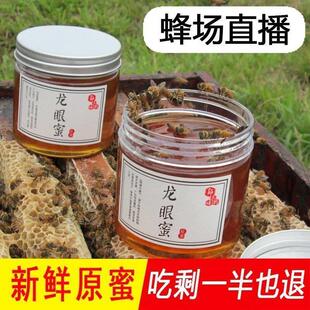 新货甄选 龙眼蜜500g广桂东野生真土BRS蜂蜜然农自产自天家养圆家