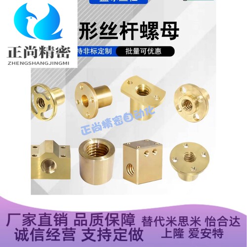 丝杠螺母C-MTSSR MTSPNR MTSPFL8 10 12 18 22 25 28 32 36 40 50