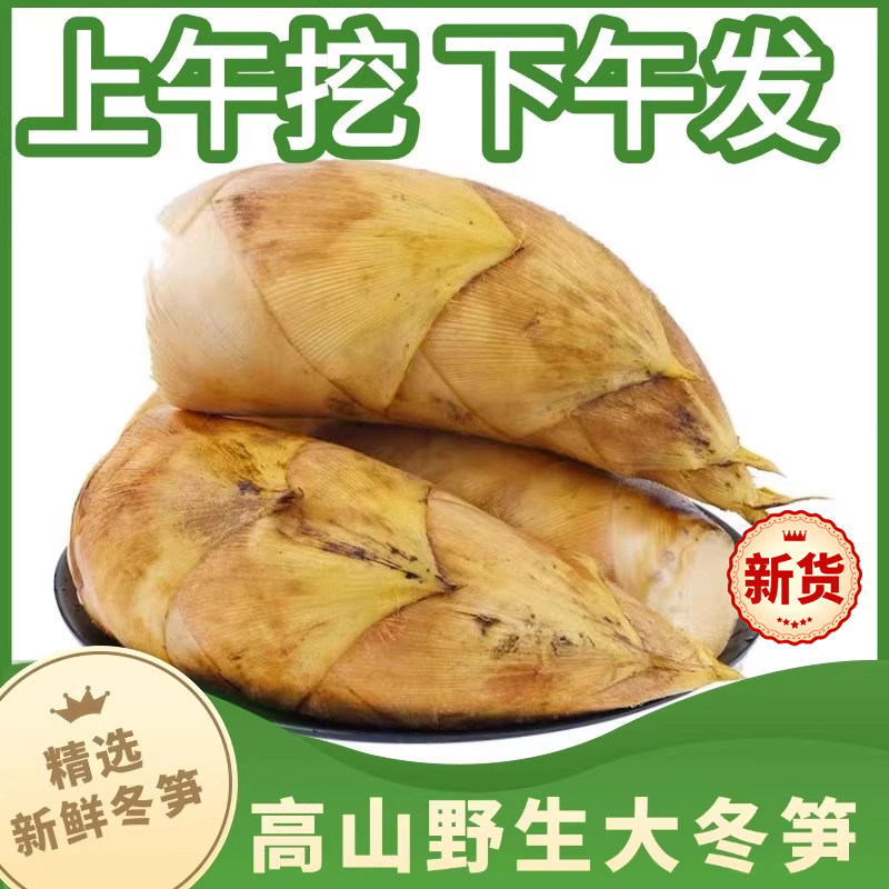 浙江锄头挖新鲜冬笋专用现挖5斤10斤临安春笋江西竹笋清水煮野生