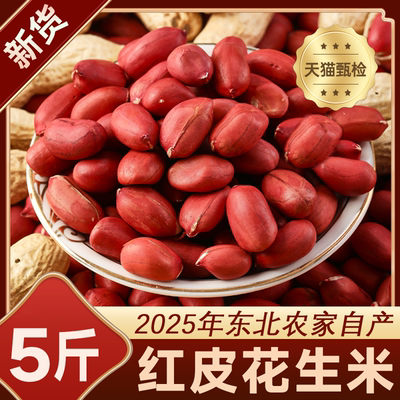正宗红皮花生米生新货即食东北不带壳新鲜四粒红小粒红衣花生米仁