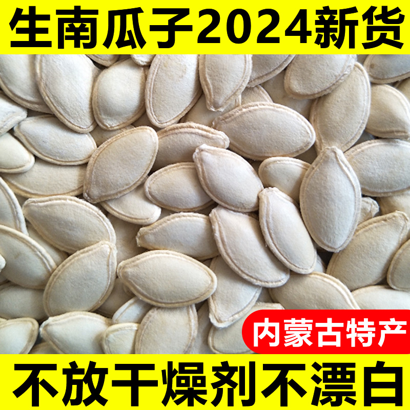 生南瓜子2024新货原味大片内蒙古精选带壳南瓜籽不漂白官方旗舰店