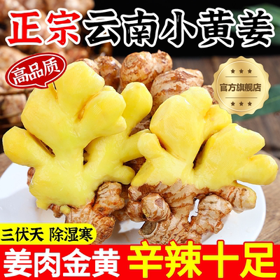 2025新云南小黄姜红河新鲜生姜老姜现挖高山沙姜土姜种子蔬菜9斤