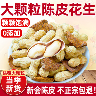 正宗新会陈皮花生2025新货官方旗舰江门特产广东水煮花生炒货年货