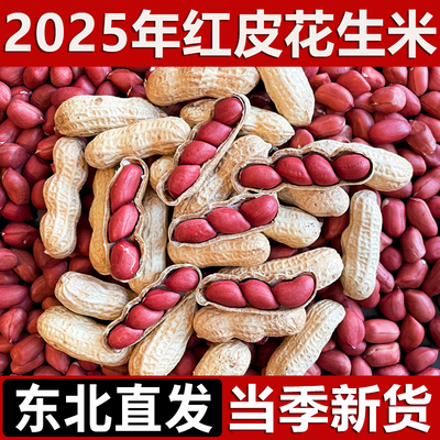 东北特产有机红衣花生米生新货补血农家高产种红皮花生官方旗舰店